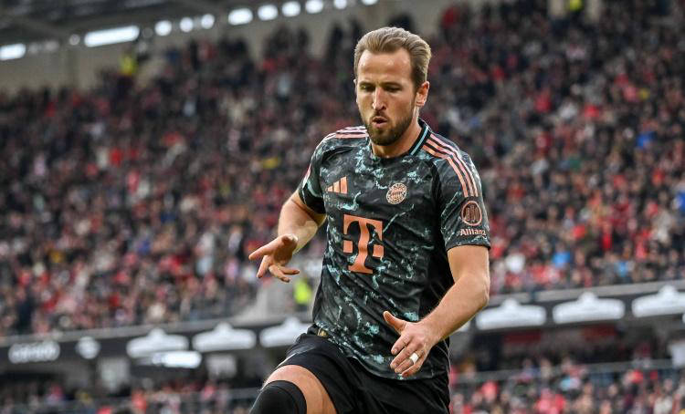 水平竞技的 水平竞技的